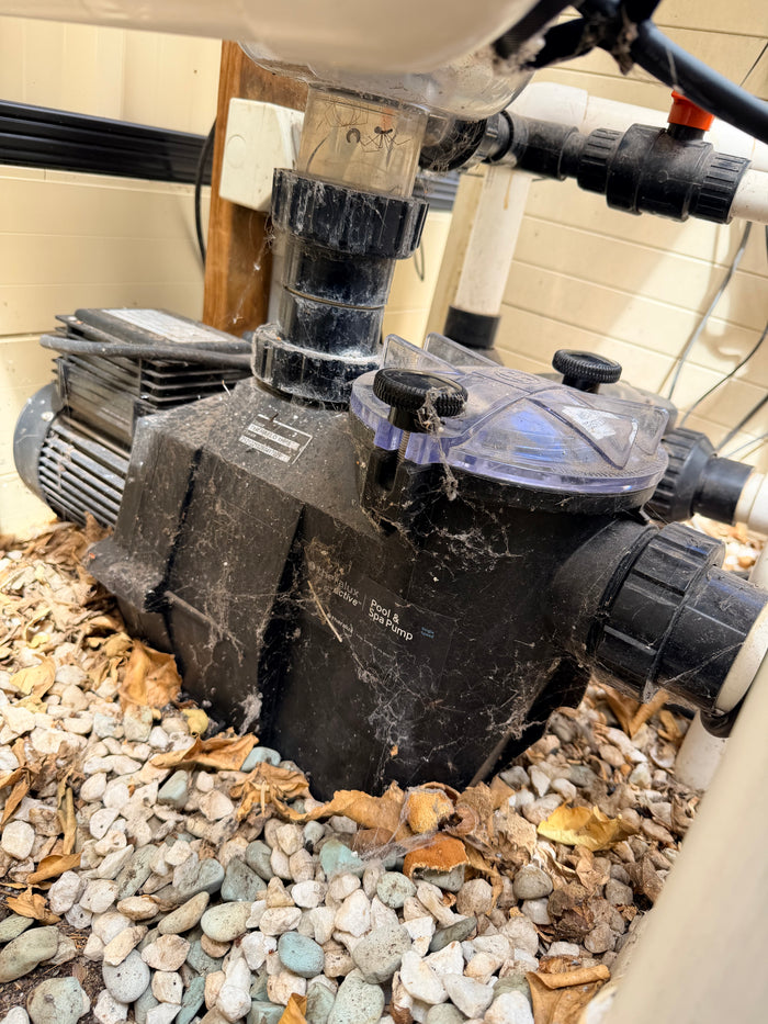 SP110 Pool Pump